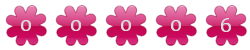 contador de visitas para mi web
