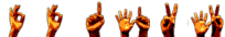 website counter