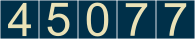 website hit counter