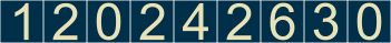 website counter code
