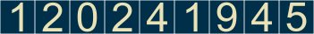 website counter