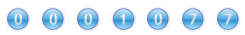 web counter
