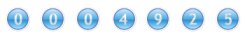 page hit counter