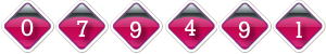 hit counter
