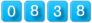 website hit counter