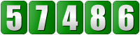 page counter