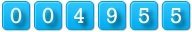 website counter widget